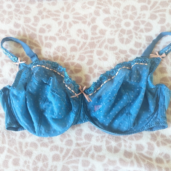 Curvy Kate Other - Curvy Kate Bra 44F Blue Sheer Lace Pink Bows Polka Dot Underwire Unpadded Plus